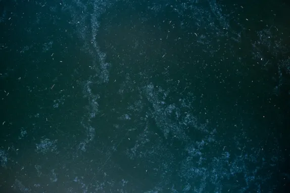 Tournaverse Kazino Atbalsts